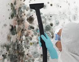 Why You Should Choose Our Mold Remediation Services in Brentwood, PA